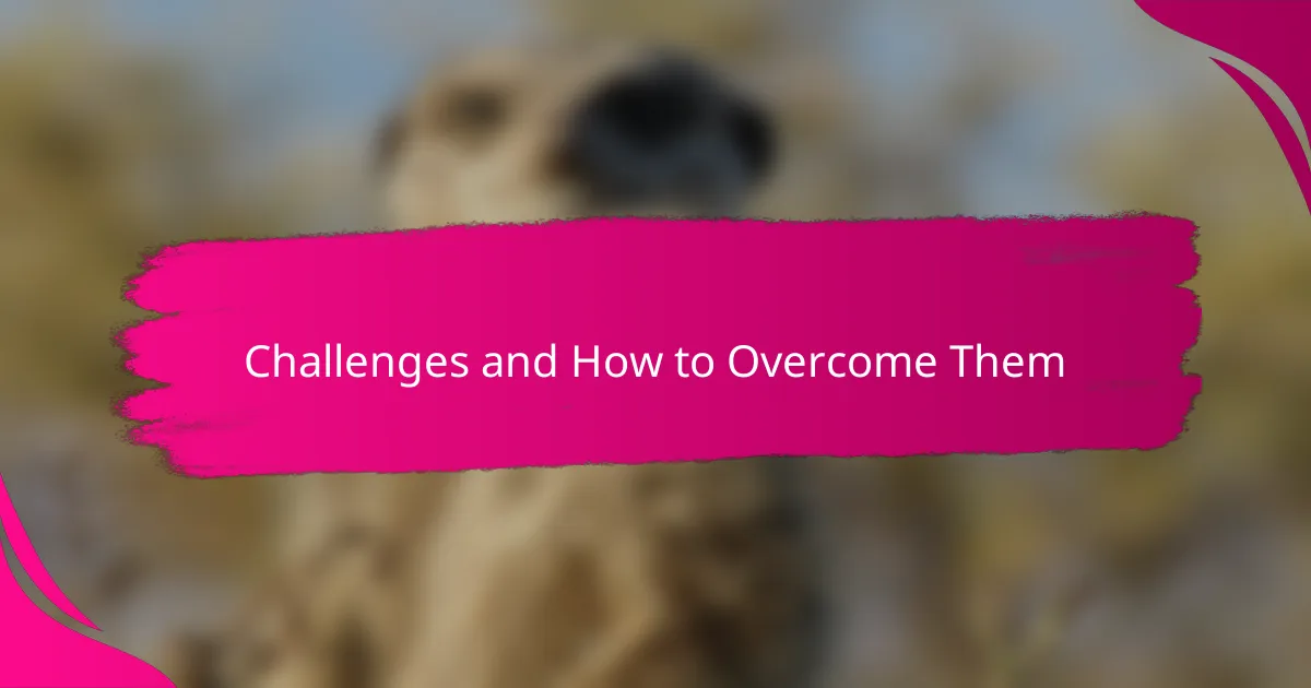 Challenges and How to Overcome Them