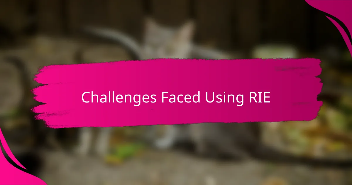 Challenges Faced Using RIE