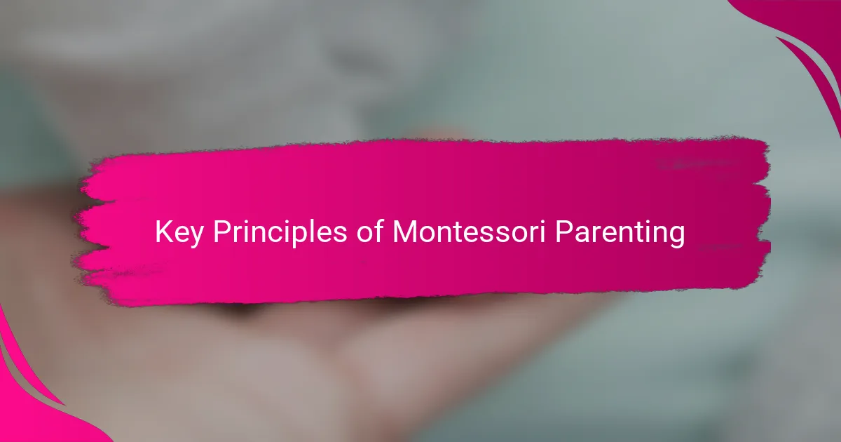 Key Principles of Montessori Parenting